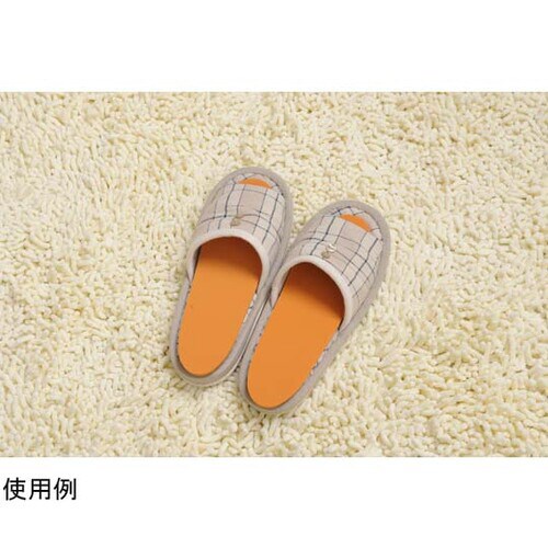 溶岩インソール 1足組 1組(2枚入)