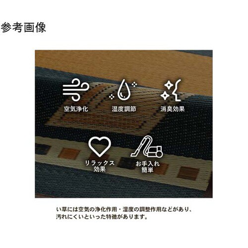 キリムシリーズラグ い草ラグ キリム柄