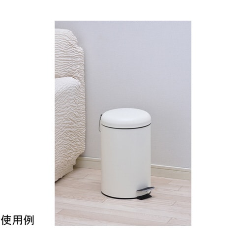 マイトラッシュ2ペダルペール 12L(IV)