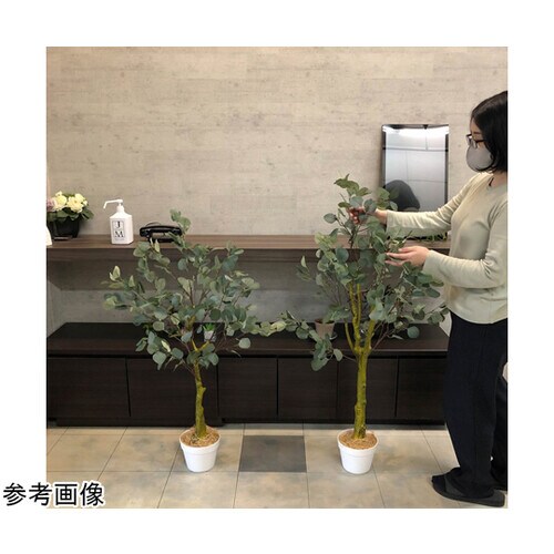 ユーカリ(フェイクグリーン 人工樹木)115cm