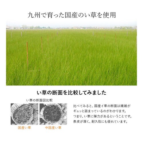 い草シーツ ブルー シングル 約88×200cm