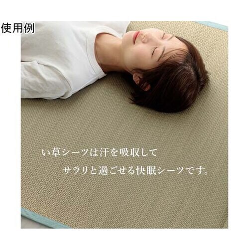 い草シーツ ブルー シングル 約88×200cm