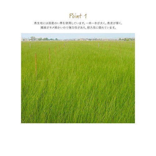 い草置き畳 約88×88cm