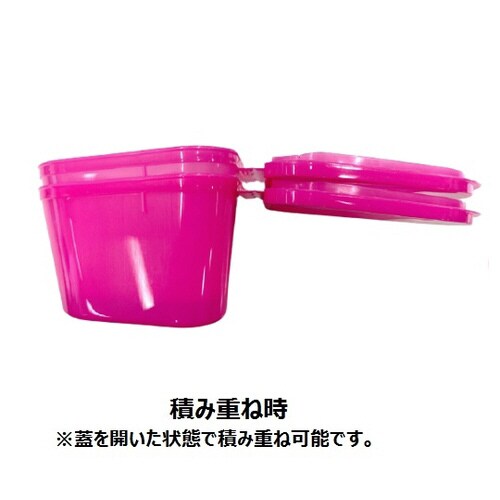 H980−92 入れ歯ケース