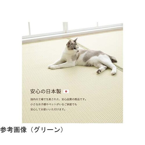 洗える ござ風カーペット ブラウン 10