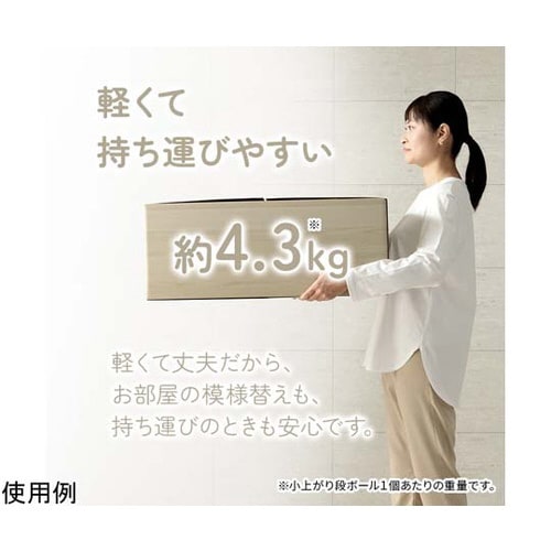 段ボール製小上がり・置き畳セット グリー