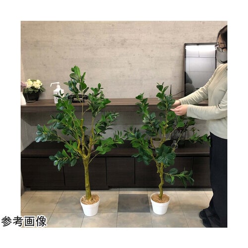 ペペロミア(フェイクグリーン 人工樹木)115cm