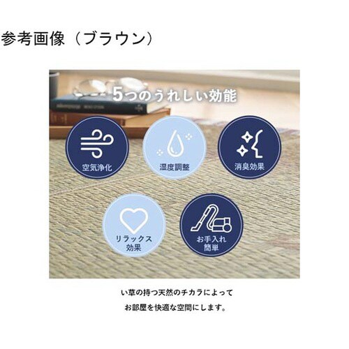 い草ラグ カーペット夏用 ブラウン 約1