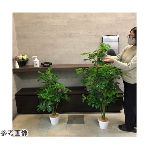 シェフレラ(フェイクグリーン 人工樹木)135cm