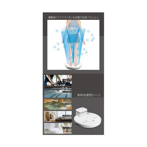 全身イオンドライヤー