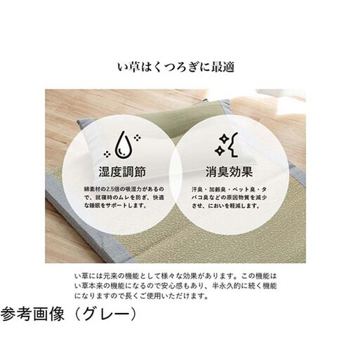 い草マット くぼみ平枕マットセット ブルー