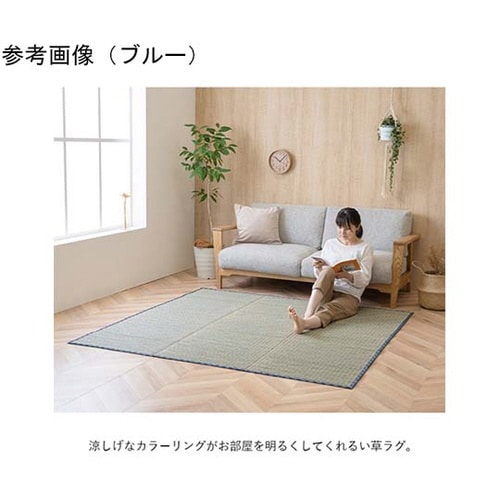 い草ラグ ベージュ 約180×240cm