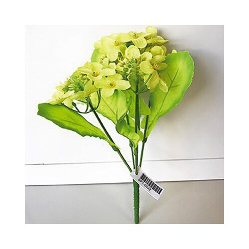 ニュー菜の花ブッシュ