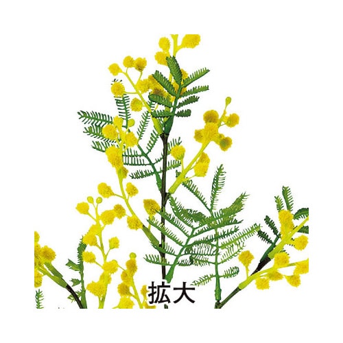 ミモザハンギング