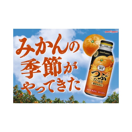 つぶたっぷり贅沢みかん400g 24本