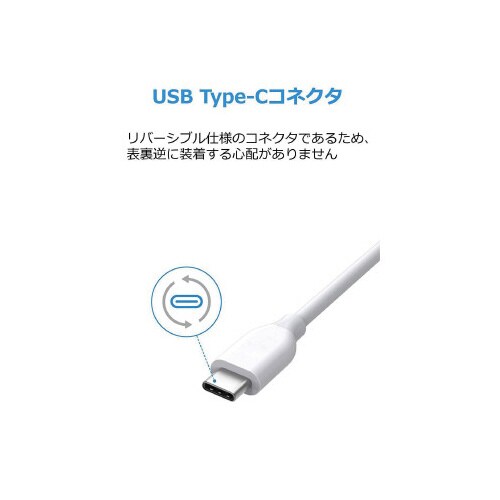 PowerLine C&Aケーブル0.9m