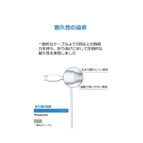 PowerLine C&Aケーブル0.9m