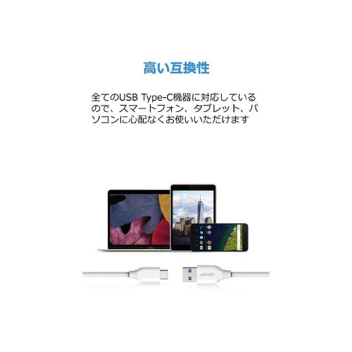 PowerLine C&Aケーブル0.9m