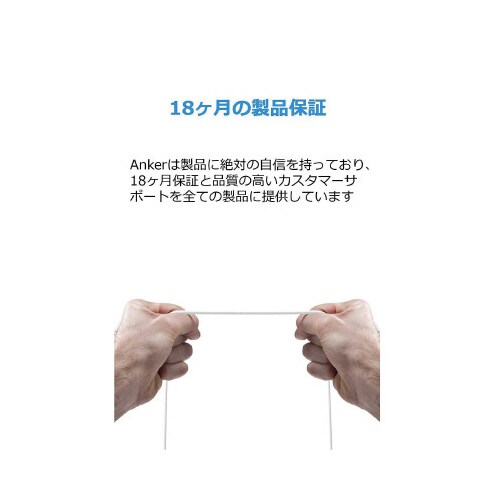 PowerLine C&Aケーブル0.9m