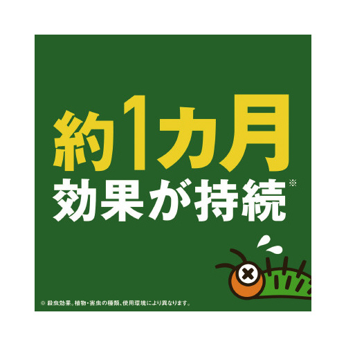 A[XK[f@GRpbN