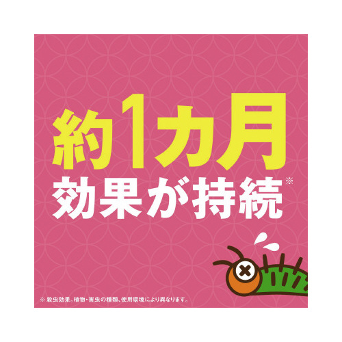 A[XK[f@GRpbN