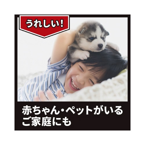 ムカデコロリ1プッシュ式S80回分20ML×18