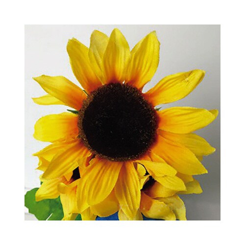 ニューひまわりラッピングポット10個