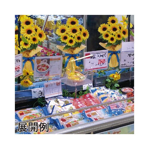 食品サンプル 冷やし中華