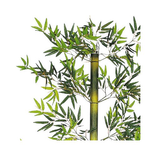 243cmバンブー立木セット