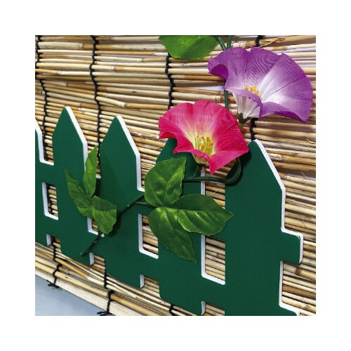 涼風朝顔垣根スダレ