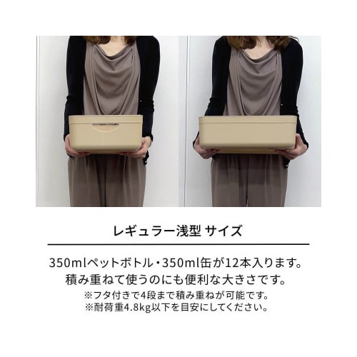 TENMA やわらか収納ケース レギュラー浅 W(