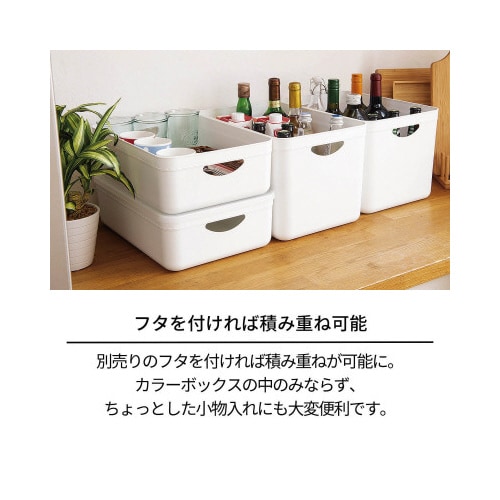 TENMA やわらか収納ケース レギュラー浅 W(