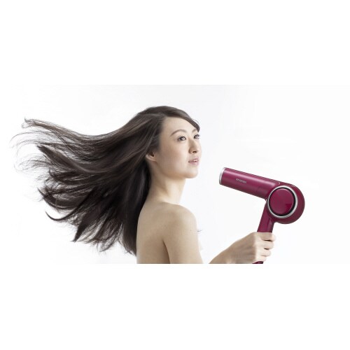 モイストイオンドライヤー