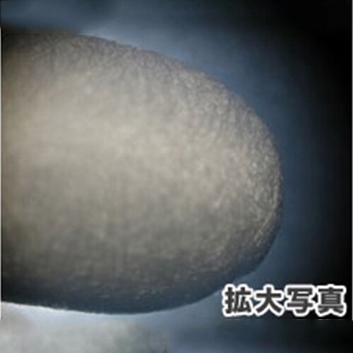 クリーニングスティック(両面)EA109DY−16