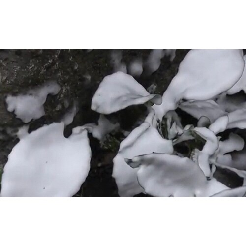 ハンドスプレー(泡タイプ) EA115MH−21