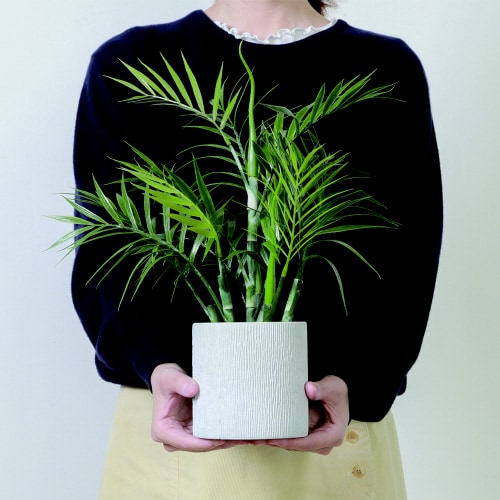 フェイクグリーン テーブルヤシ ペーパーポット