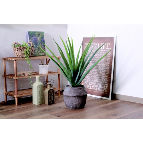 フェイクグリーン アロエ M セメントポット