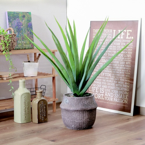 フェイクグリーン アロエ M セメントポット