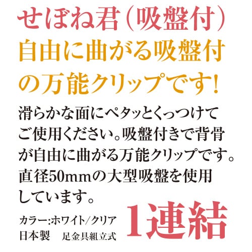 せぼね君吸盤付 1連