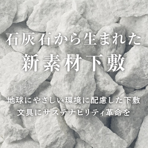 LIMEXライティングシート B5 ×5