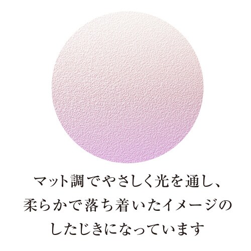 グラデーション下敷 A4 カラー05 ×5