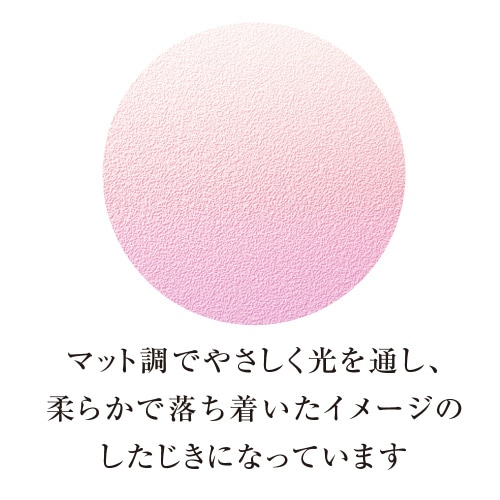 グラデーション下敷 A5 カラー03 ×5