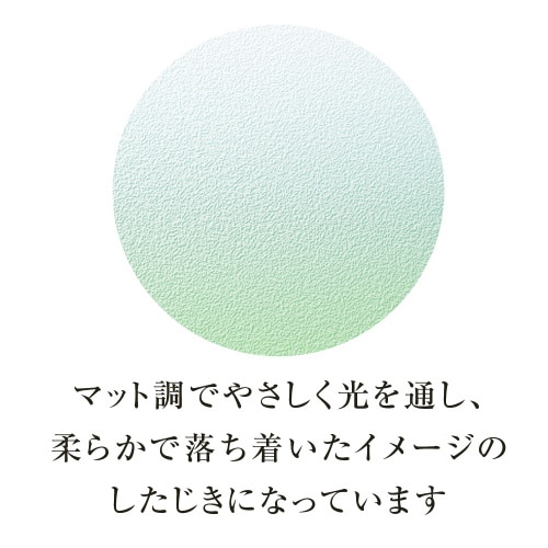 グラデーション下敷 A4 カラー04 ×5