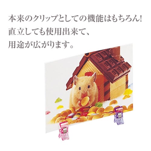 スタンドクリップ 60個入