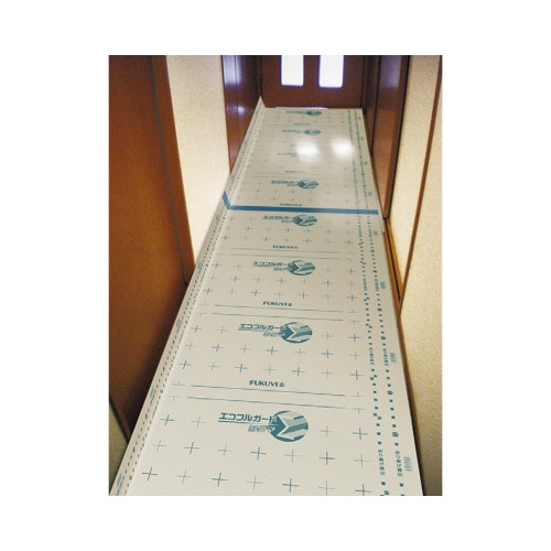 エコフルガード Σ 10枚入り