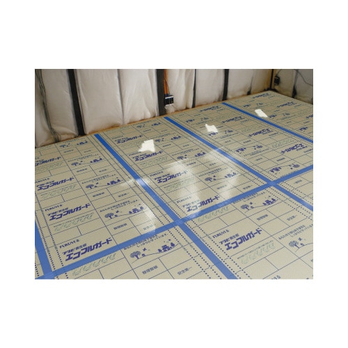 エコフルガード10枚入