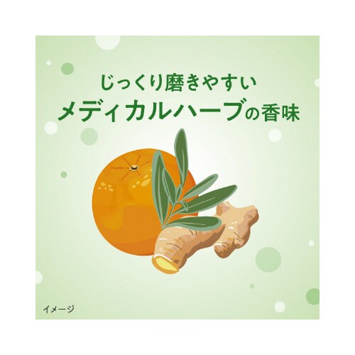 ディープクリーン プレミアム 85g×12