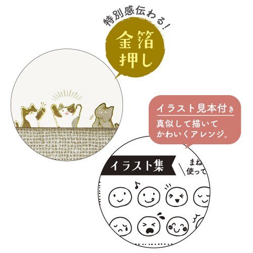 ほめ上手なほめこさん 封筒付きカード ネコ5セット