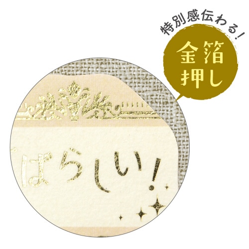 ほめ上手なほめこさんメッセージシール フレーム5冊