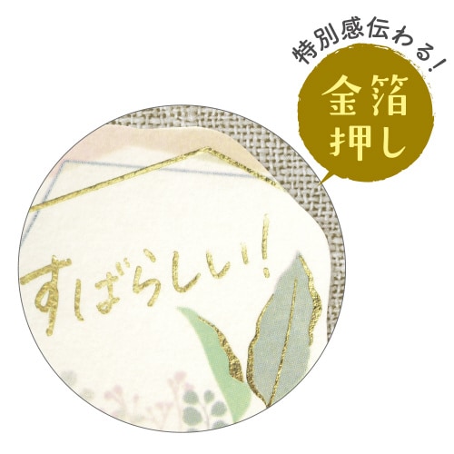 ほめ上手なほめこさんメッセージシール リーフ 5冊